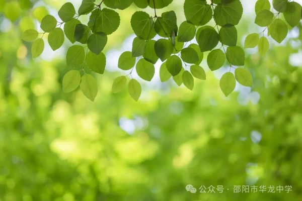 邵陽(yáng)市華龍育英高級(jí)中學(xué)有限公司,邵陽(yáng)中學(xué)教育,高中教育,師資雄厚,名優(yōu)教師